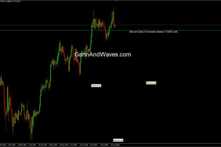 Bitcoin Price Forecast – Elliott Wave, NEoWave, and W.D. Gann Analysis